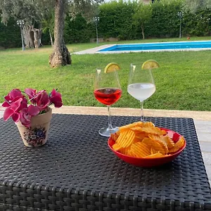 Del Principe Carini
